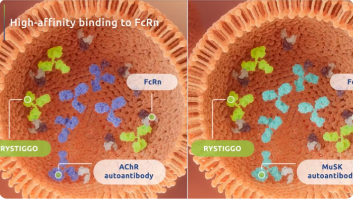 RYSTIGGO Mechanism of Action Video